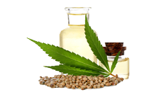 Cannabis therapeutique